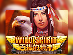 Wild Spirit